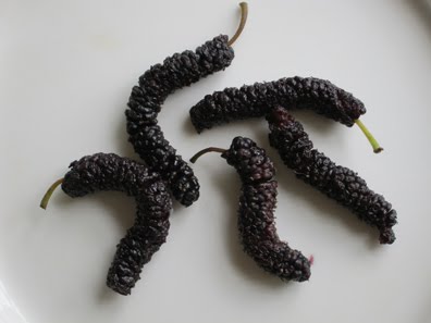 Pakistan Mulberries